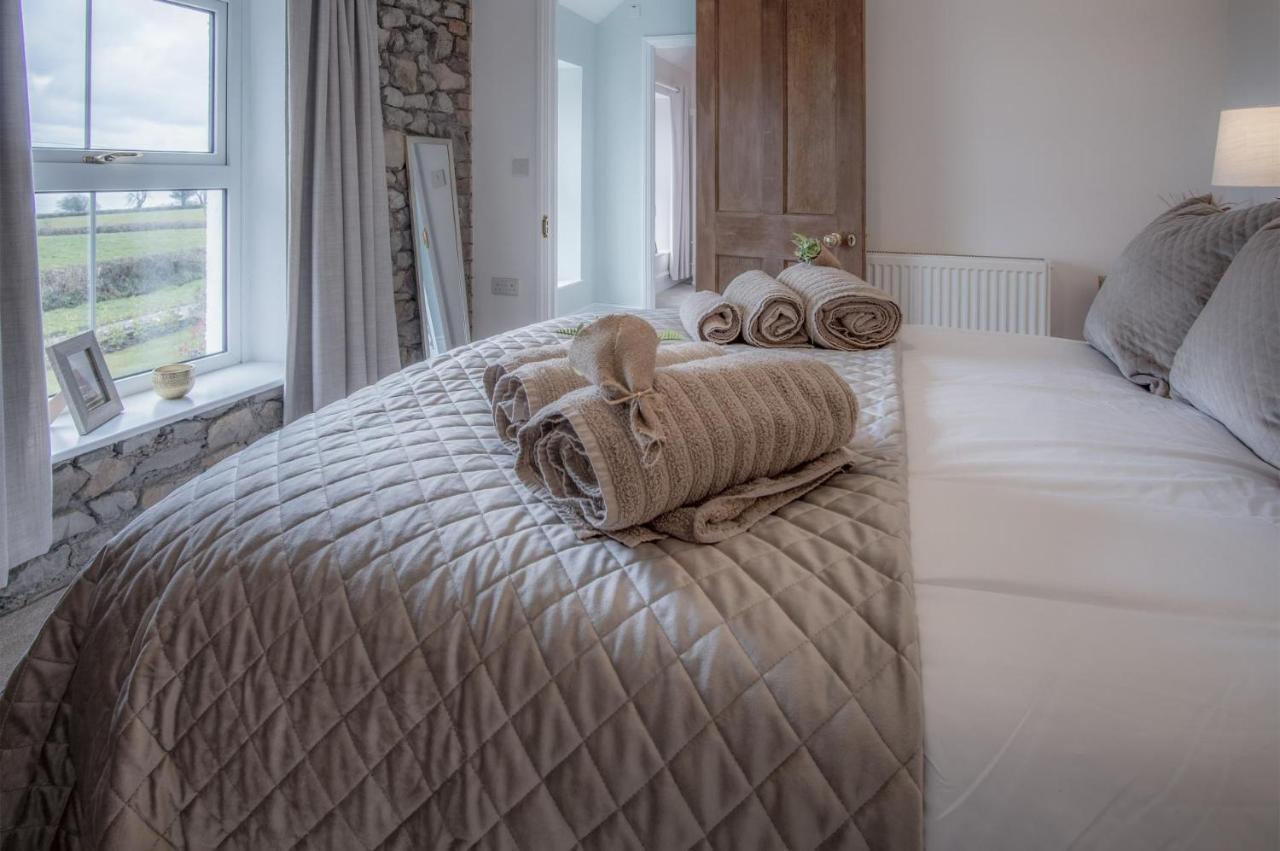 Elidyr Cottage - 3 Bedroom Cottage - แอมรอธ ภายนอก รูปภาพ