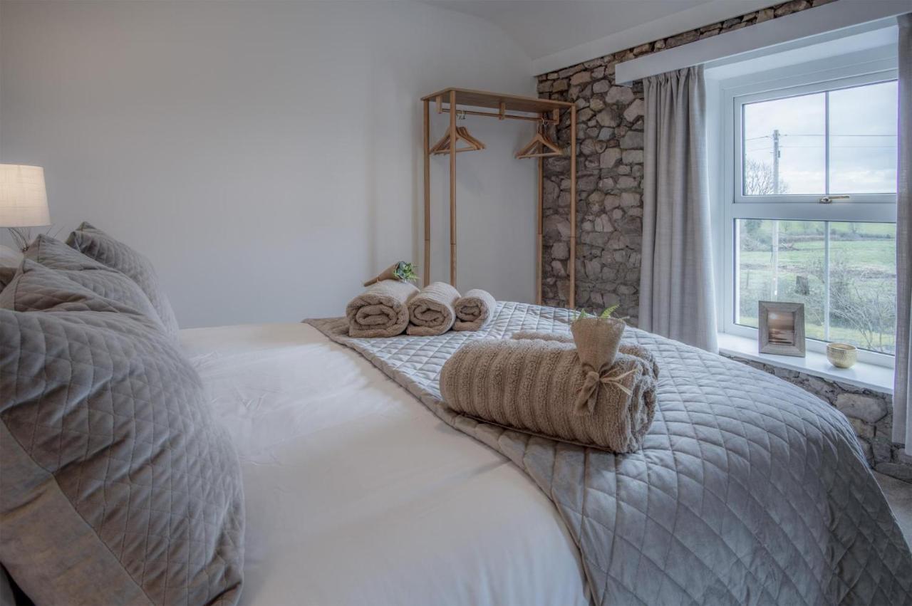 Elidyr Cottage - 3 Bedroom Cottage - แอมรอธ ภายนอก รูปภาพ